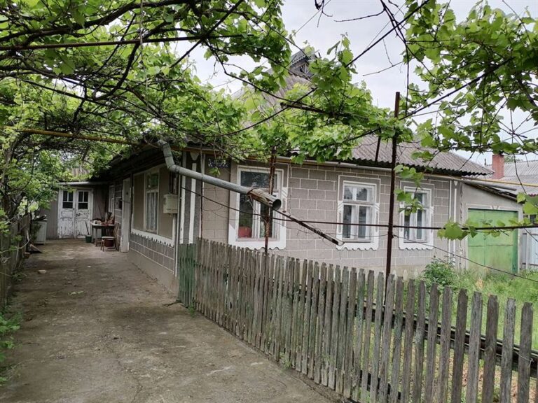 Mołdawia. Kraj bez&nbsp;drzew ?