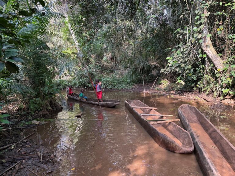 Essiengbot – las pełen tajemnic